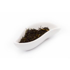 WhiteKingJasmine