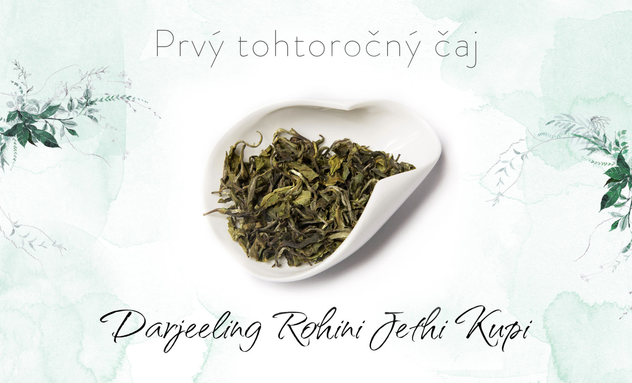 darjeeling rohini jethi kupi first flush ftgfop 1