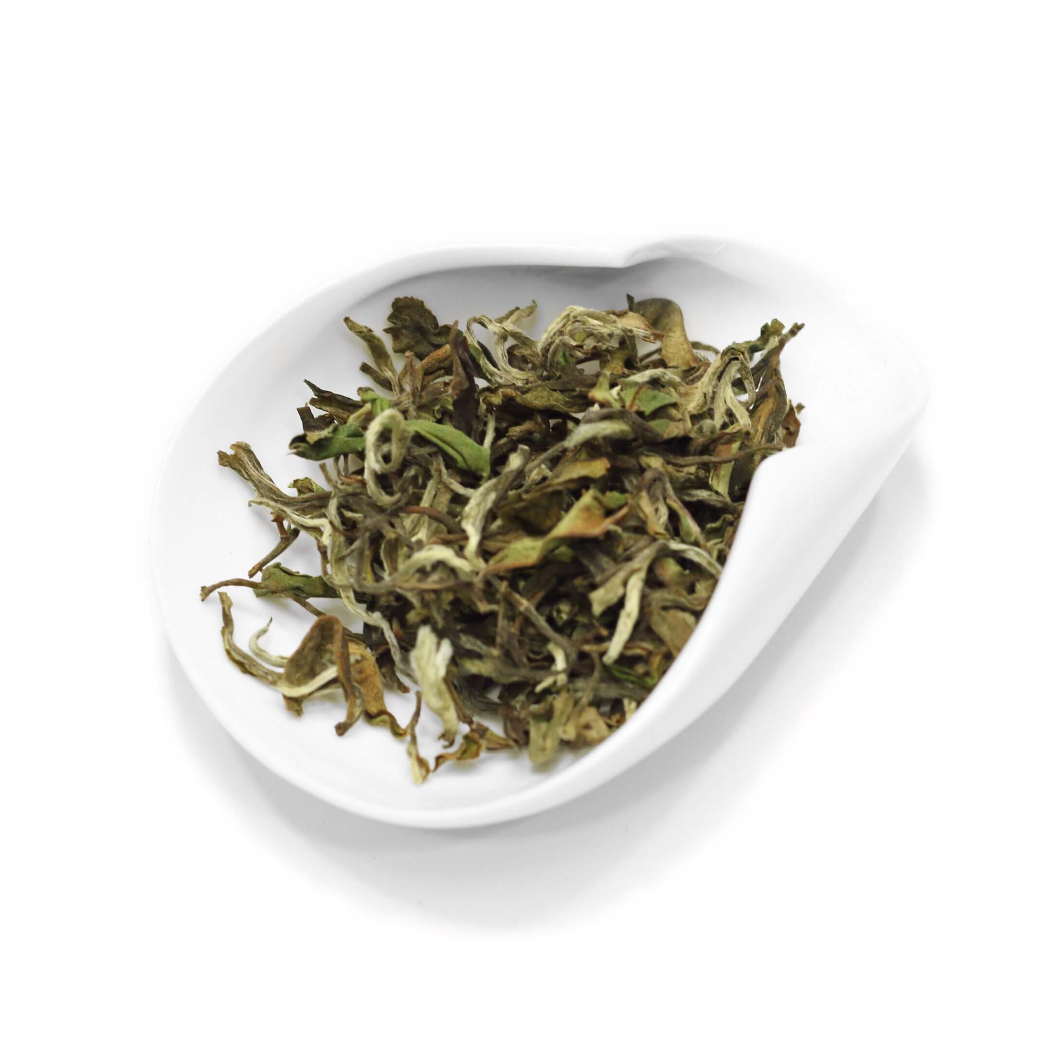 nepal white tea